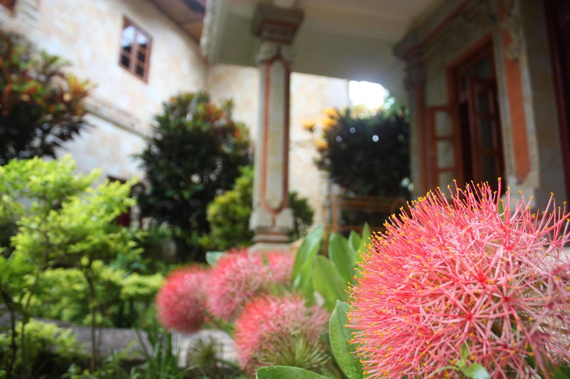 Rambutan Boutique Hotel Lovina Kültér fotó